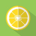 Flat Design Lemon Icon