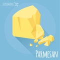 Flat design Parmesan cheese vector icon