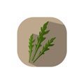 Flat design rucola salat