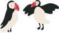 Flat design set of two puffins