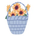 Flat design sunflowers bouquet in a basket on a white background Royalty Free Stock Photo