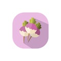 Flat design Turnips