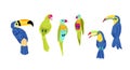 Flat design vector birds icon set. Popular birding species collection. Exotic bird set in flat design on white.