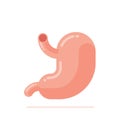 Flat design vector Illustration of human stomach Royalty Free Stock Photo