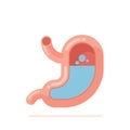 Flat design vector Illustration of human stomach Royalty Free Stock Photo