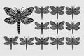 Flat detailed dragonfly insect illustration design set