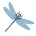 Flat dragonfly vector illustration Royalty Free Stock Photo