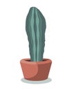 Flat drawing of a vertical potted cactus. Houseplant. Green cactus in a pot. Isolated Vector on white