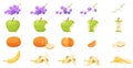 Flat eaten fruits set, sequence game animation of bitten banana, apple and grapes, tangerine Royalty Free Stock Photo