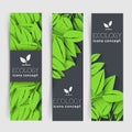 Flat eco leaf vertical banners concept. Vector illustration design