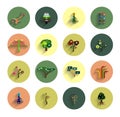 Flat eco tree infographic icon design templates Royalty Free Stock Photo