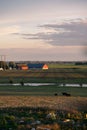 The flat farmlands of SkÃÂ¥ne Scania with barn, cows, pond and fields during autumn in Sweden