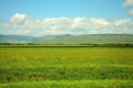 A flat, fertile pasture stretches across the steppe at the foot of a high hill
