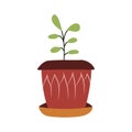 Flat flower pot for decoration design. Plant for garden. Vector illustration. Botany decor.