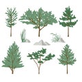Flat forest trees and rock icons, garden or park landscape elements