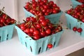 Fresh Sour Pie Cherries Royalty Free Stock Photo