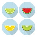 Flat fruit set. Lime, lemon, watermelon, kiwi slice vector icon. Royalty Free Stock Photo