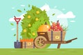 Flat fruits and vegetables, cart with apple, box with carrot and farm equipment, shovel.