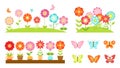 Flat garden flower borders. Wild flowers, blooming plants in pots. Colorful butterflies, spring summer time decorative