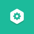 Flat Gear icon inside Hexagon. Website Asset library Royalty Free Stock Photo