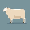 Flat geometric East Friesian sheep Royalty Free Stock Photo