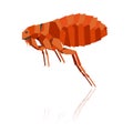 Flat geometric flea Royalty Free Stock Photo