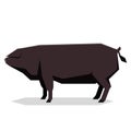 Flat geometric Large Black pig Royalty Free Stock Photo