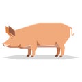 Flat geometric Tamworth pig Royalty Free Stock Photo