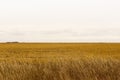 Stubble field near Sedley, Saskatchewan