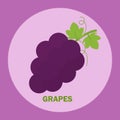 Flat grapes vector png for icon logo and clipart in purple cute cartoon background for fruits list