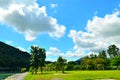 A Beautiful Park and Sunny Day Royalty Free Stock Photo