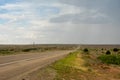 Flat Grasslands of the West