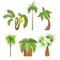 Flat green trees Types of palm illustration