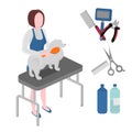 Flat grooming salon equipment set, dog haircut tools icons. Doggy girl groomer collection, nail clipper, cutter, Slicker and brush Royalty Free Stock Photo