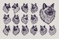 Flat hand drawn side view birman cat head illustration design set