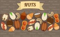 Flat healthy organic food icons set with nuts of different sorts isolated