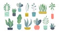 Flat houseplants. Indoor doodle garden plants, cute interior succulents and house plants. Hand drawn vector home garden Royalty Free Stock Photo