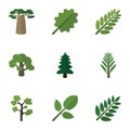 Flat Icon Bio Set Of Tree, Jungle, Acacia Leaf And Other Vector Objects. Also Includes Acacia, Foliage, Leaves Elements. Royalty Free Stock Photo