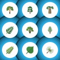 Flat Icon Bio Set Of Wood, Jungle, Baobab And Other Vector Objects. Also Includes Leaf, Tree, Leaves Elements. Royalty Free Stock Photo