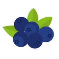 Flat icon blueberries