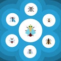 Flat Icon Buzz Set Of Buzz, Tiny, Housefly And Other Vector Objects. Also Includes Dung, Insect, Hum Elements.