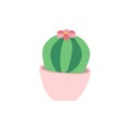 Flat icon cactus in a rose pot Royalty Free Stock Photo