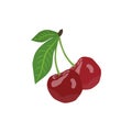 Flat icon cherry