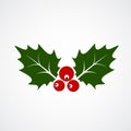 Flat Icon of Christmas Holly Berry. Vector illustration Royalty Free Stock Photo