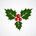 Flat Icon of Christmas Holly Berry. Vector illustration Royalty Free Stock Photo