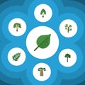 Flat Icon Ecology Set Of Baobab, Timber, Linden And Other Vector Objects. Also Includes Park, Forest, Baobab Elements. Royalty Free Stock Photo