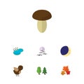 Flat Icon Ecology Set Of Canadian, Champignon, Half Moon And Other Vector Objects. Also Includes Pond, Champignon, Wing