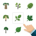 Flat Icon Ecology Set Of Garden, Foliage, Wood And Other Vector Objects. Also Includes Foliage, Timber, Oaken Elements. Royalty Free Stock Photo
