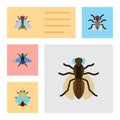 Flat Icon Housefly Set Of Gnat, Fly, Mosquito And Other Vector Objects. Also Includes Housefly, Tiny, Bluebottle Royalty Free Stock Photo