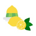 Flat icon lemon squeezer with whole lemon and half of lemon